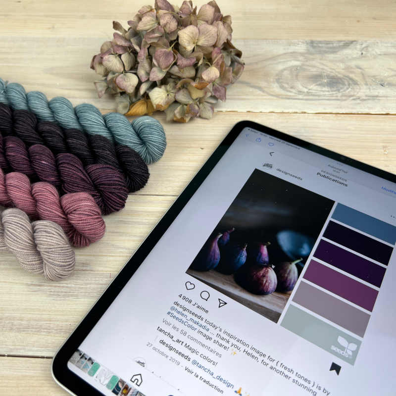 Kit chaussettes inspiration figues